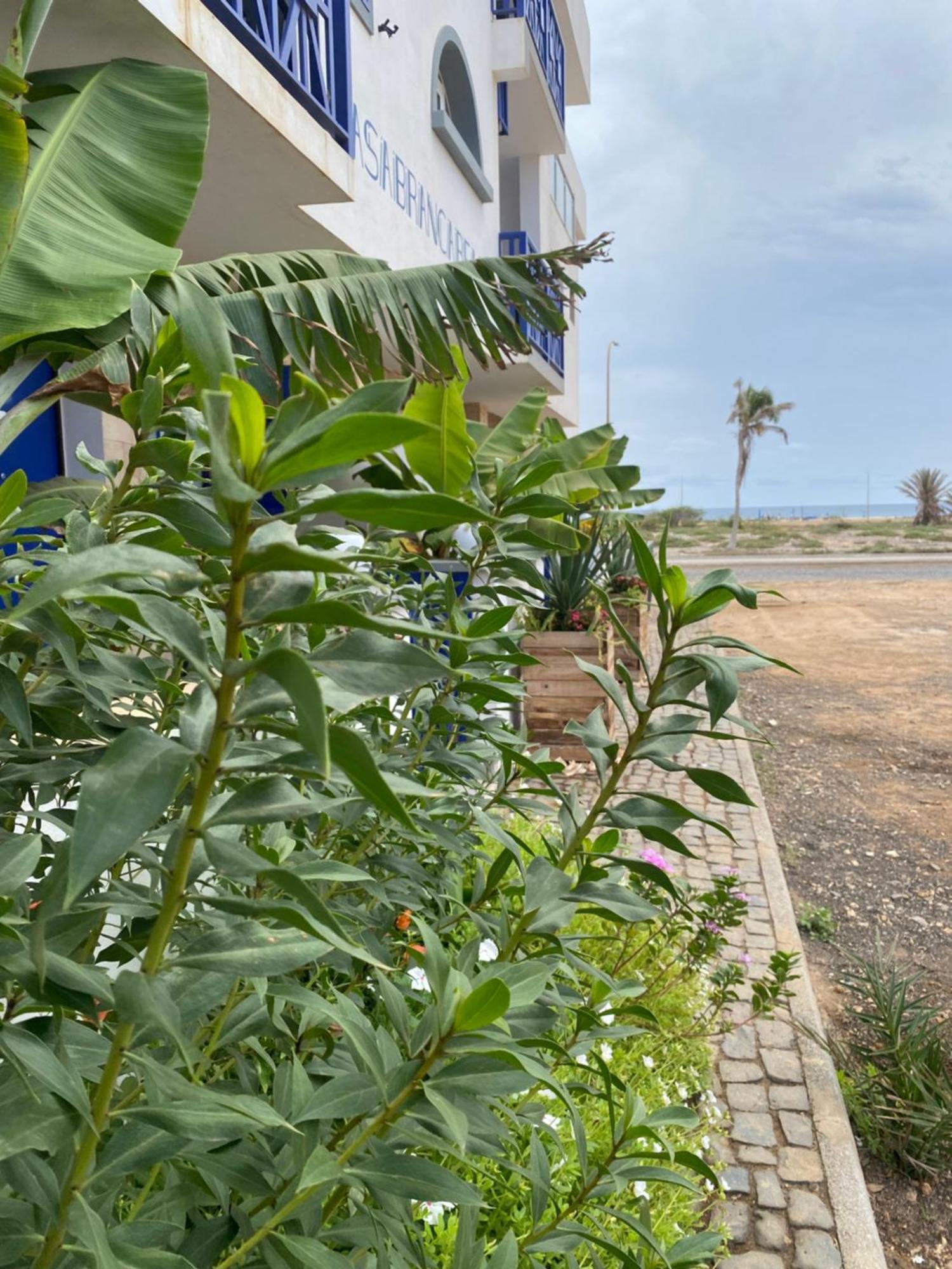 Casa Branca Beach سانتا ماريا المظهر الخارجي الصورة